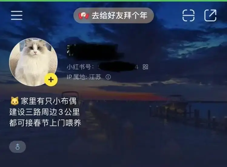 【上门喂猫服务】10天赚1400,春节兼职也能轻松变现!【飞书文档教程】