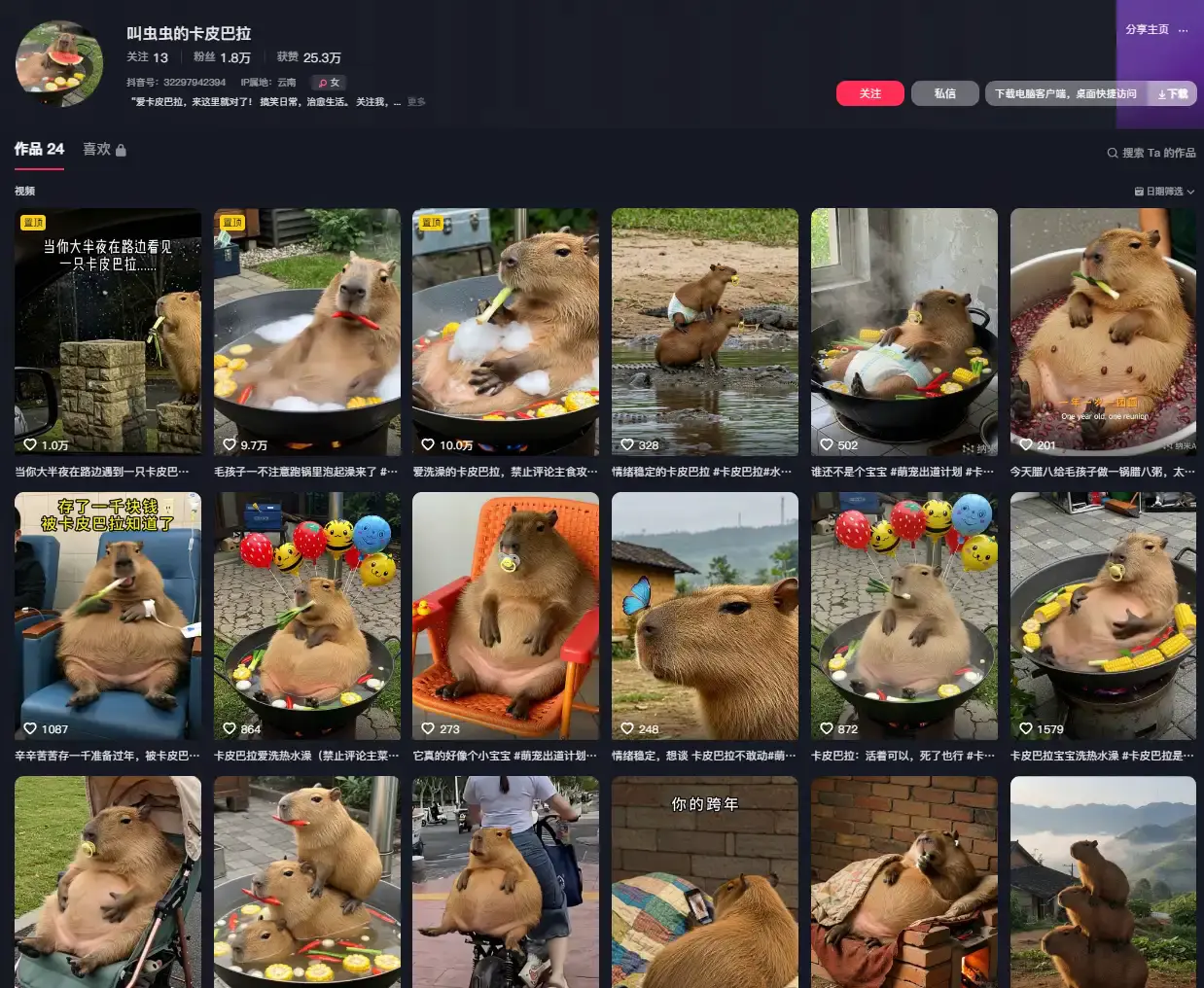 AI生成水豚搓澡视频,多平台引爆流量【飞书文档】