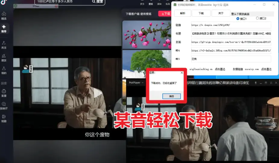 2025最新全网短视频无水印解析工具,支持抖音、快手、小红书等主流平台