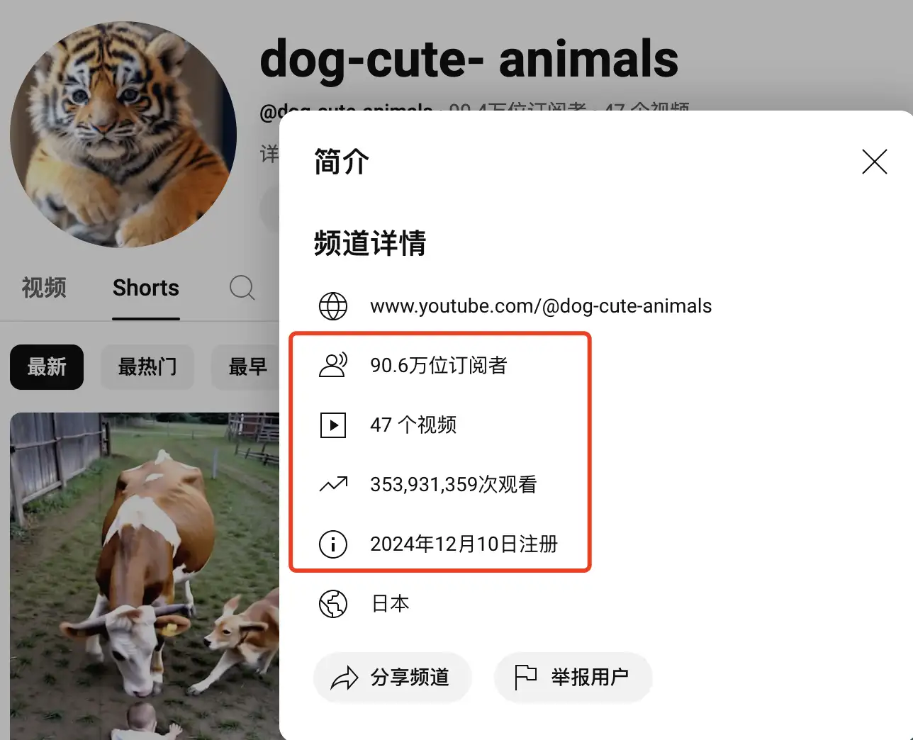 YouTube Shorts爆款：AI“天使狗狗”视频制作全攻略【飞书文档】