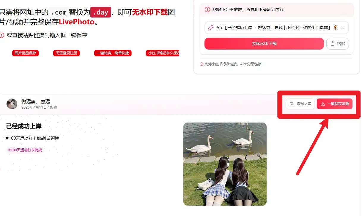 小红书无水印下载效果