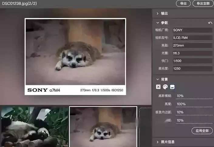 可读取图片EXIF信息的加水印工具,自定义样式位置还能批量添加,超实用!