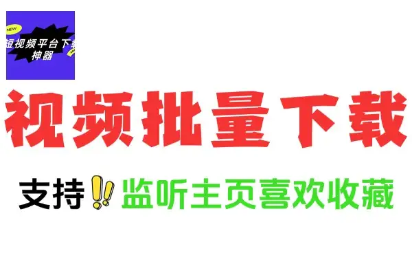 抖音快手视频主页视频批量下载工具
