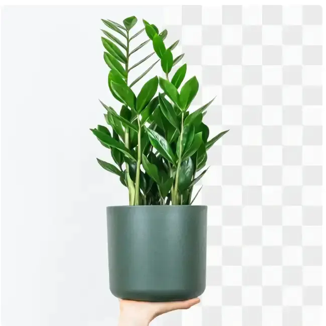 AI一键去背景在线工具-Vheer批量图片背景消除神器