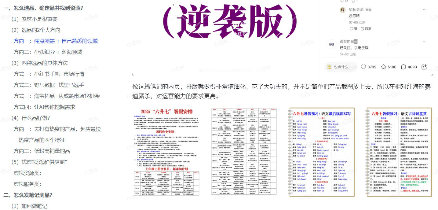 小红书虚拟电商从0到1:起店、投放、放大全流程干货(飞书文档教程)