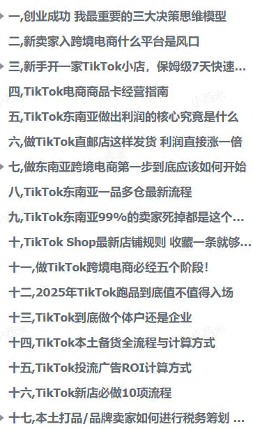深度解析:TikTok电商万字长文-持续更新版(飞书文档教程)