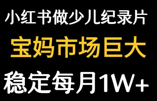 小红书卖纪录片,1亿宝妈市场,持续做可以做到月入1万+