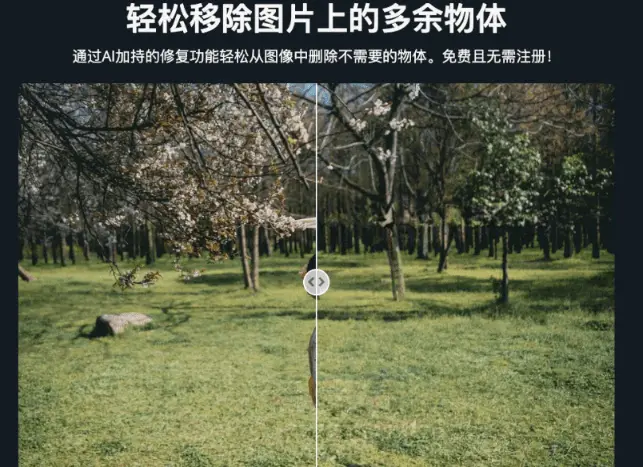 全能Ai图片编辑工具,一键抠图变清晰上色去水印压缩等-在线工具