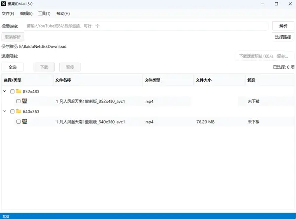 椰果IDM多平台视频下载工具