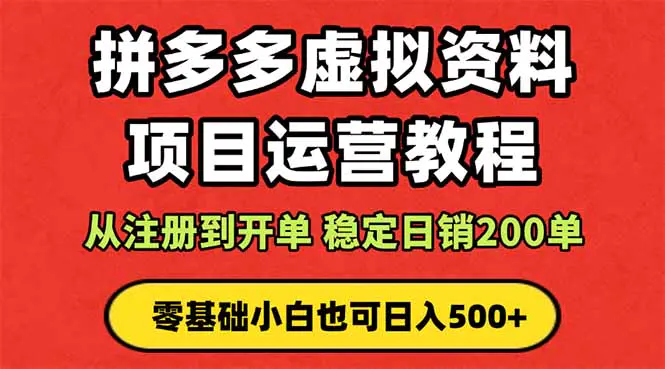 拼多多开店运营课程: 蓝海变现玩法,轻松实现睡后收入 零基础小白也可做