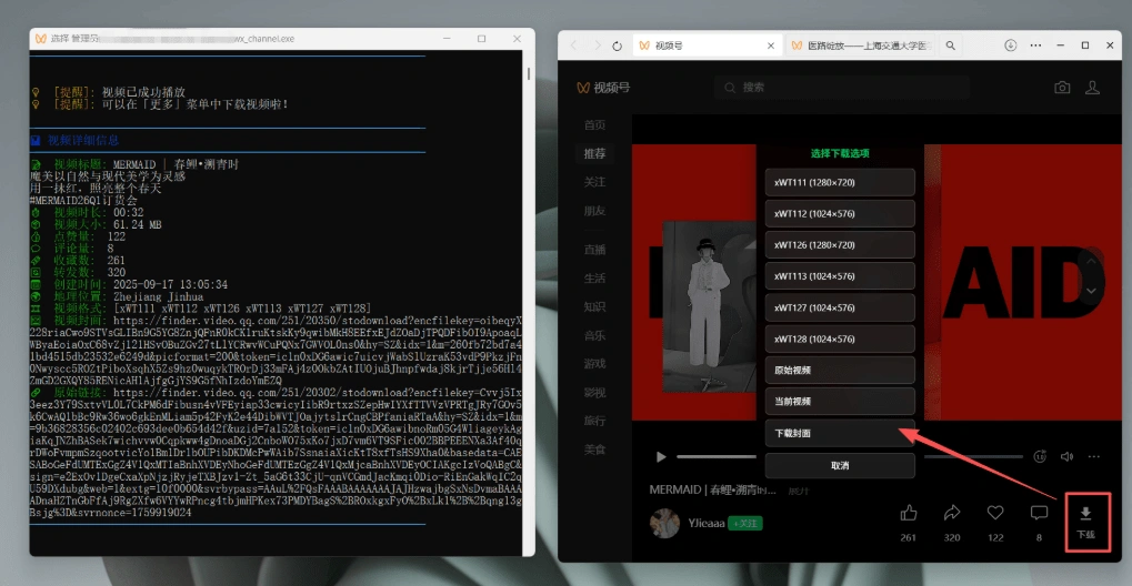 视频号下载神器，界面美观效果更强大，支持智能识别分类