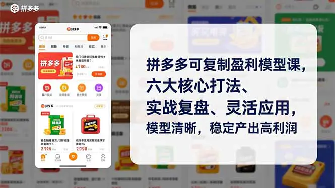 拼多多可复制盈利模型课,六大核心打法、实战复盘、灵活应用,模型清晰,稳定产出高利润