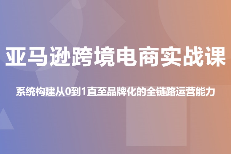 亚马逊跨境电商实战课，系统构建从0到1直至品牌化的全链路运营能力