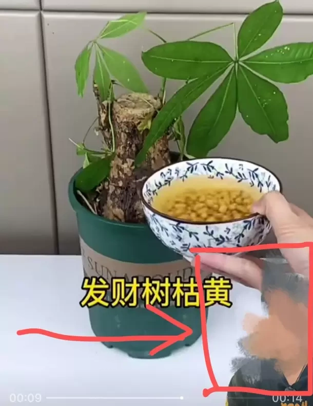 【图文】视频号伪原创小技巧，可以轻松过原创