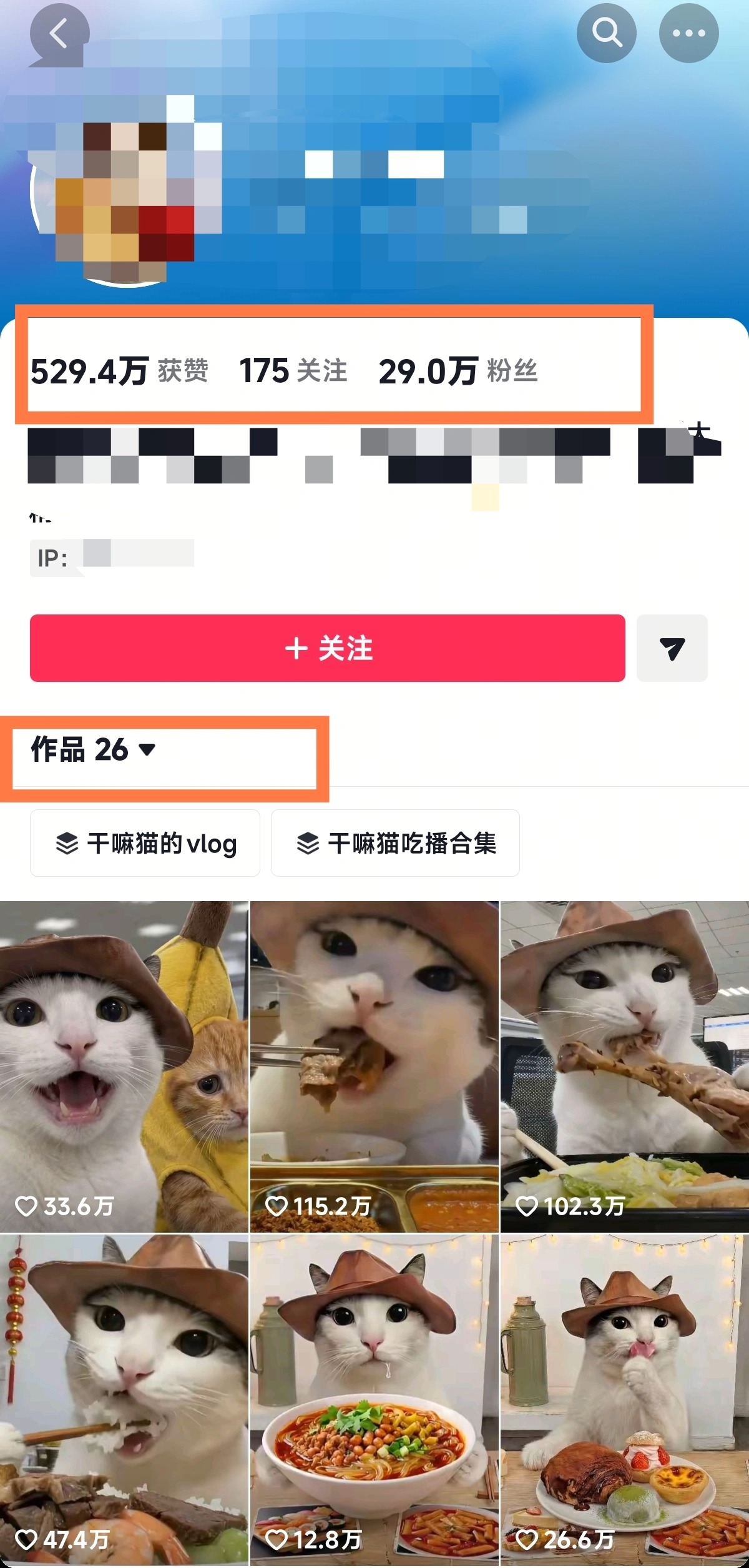 AI可爱猫咪生活日记视频创作，快速涨粉多元变现