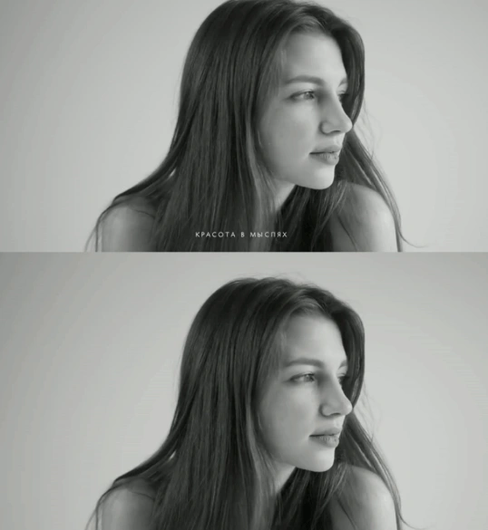 Ai去水印去字幕软件，支持Win/Mac本地运行