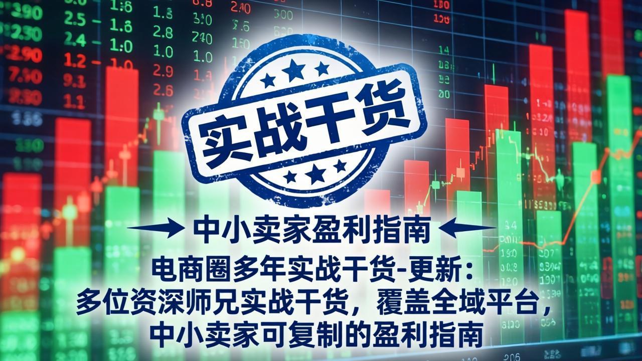 电商圈多年实战干货：多位资深师兄实战干货，覆盖全域平台，中小卖家可复制的盈利指南-更新4月