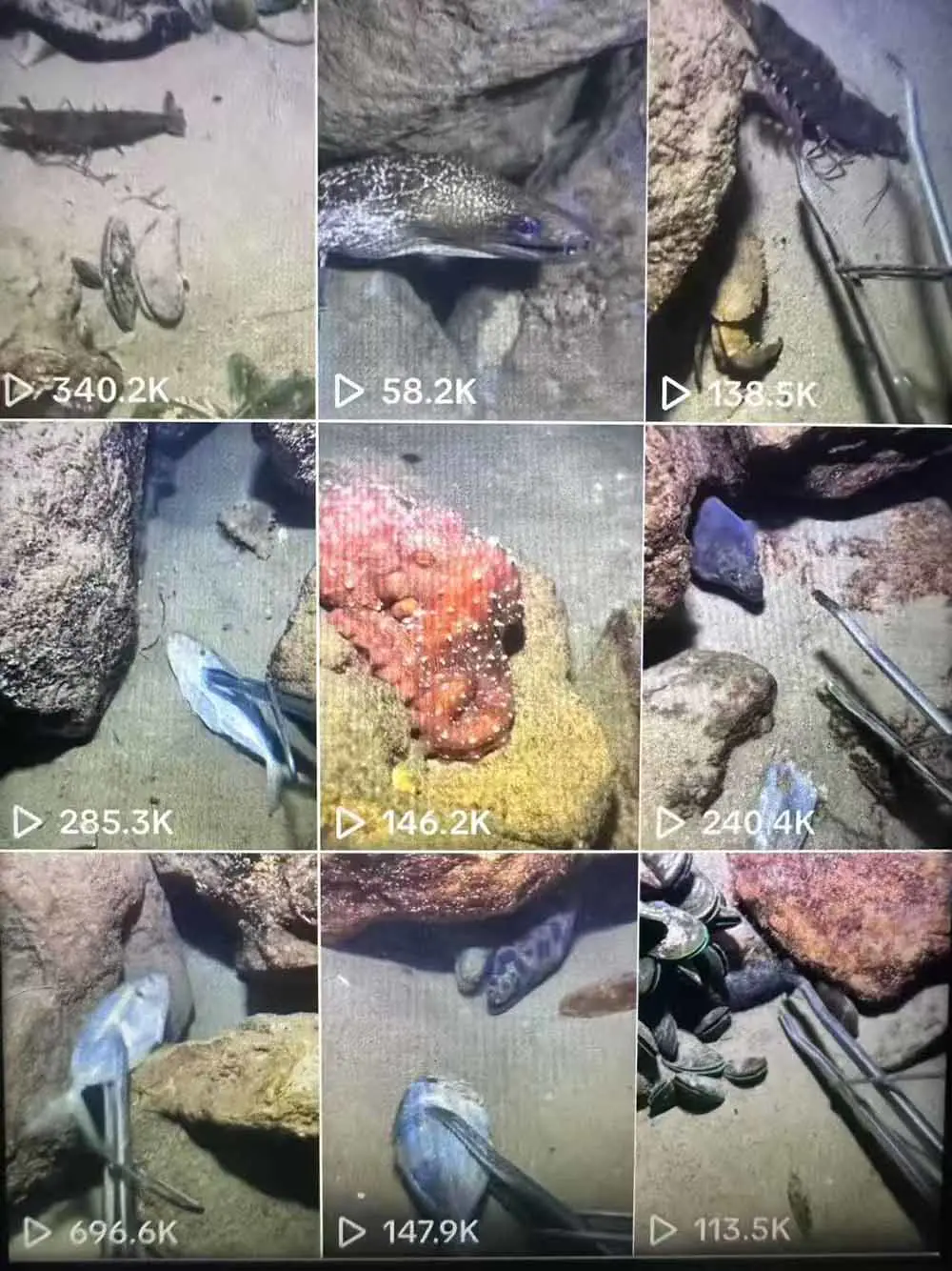 TikTok中视频解说双赛道实操教程,体育赛事热点撬动自然流量,温情文案收割高完播