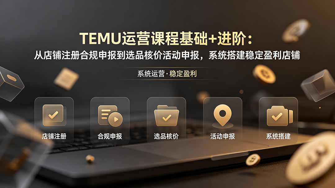 TEMU运营课程基础+进阶课，从0搭建稳定盈利店铺注册选品上架发货优化