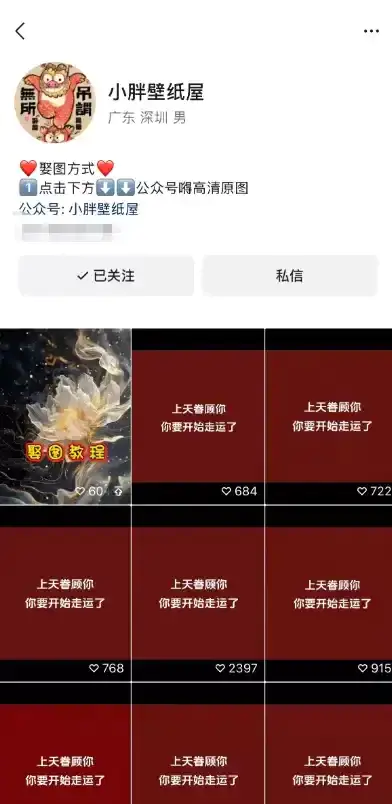 【图文】视频号接好运壁纸视频,AI生成好运图一键成片批量制作流量猛