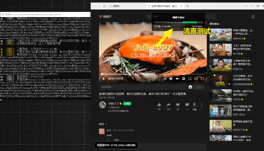 微信视频号下载工具!自动化控制浏览器实现直播回放便捷下载