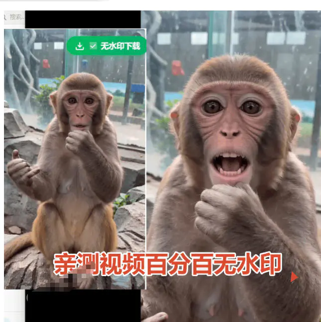 豆包去水印浏览器插件,免费无限制下载无水印图片视频最新可用