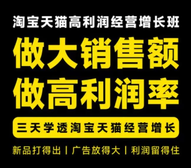 天猫淘宝高利润经营线下课,做大销售额做高利润率,三天学透淘宝天猫经营增长