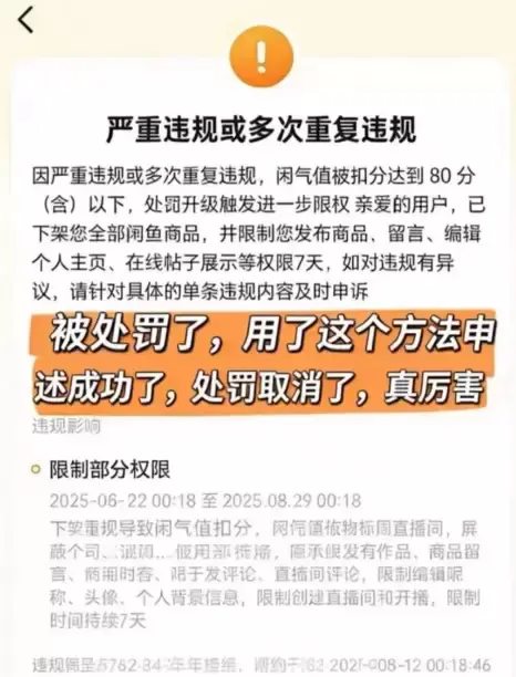 闲鱼账号违规申诉指南,这些经验能帮你少踩坑