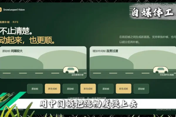 画质修复软件Snow Leopard Vision:视频超分成高清,AIF补帧让卡顿画面变流畅-在线工具