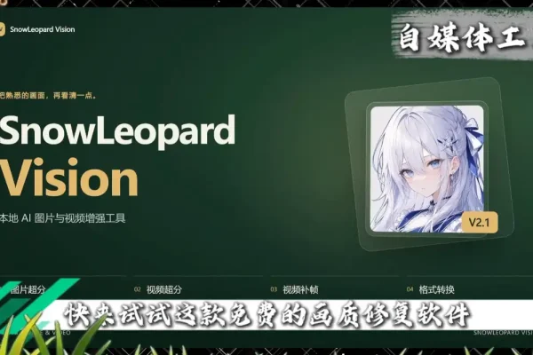 画质修复软件Snow Leopard Vision:视频超分成高清,AIF补帧让卡顿画面变流畅-在线工具